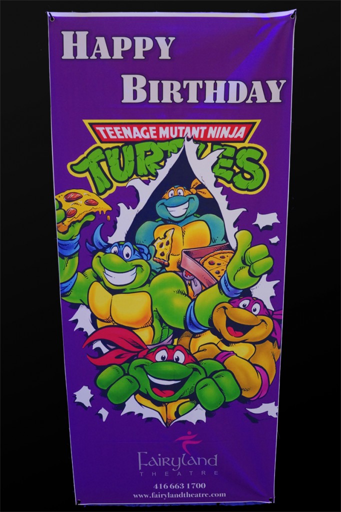 Ninja Turtle Party Decoration