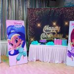 shimmer and shine party decorations toronto