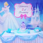 Cinderella Theme Backdrop