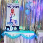 Cinderella Personalized Party Decorations